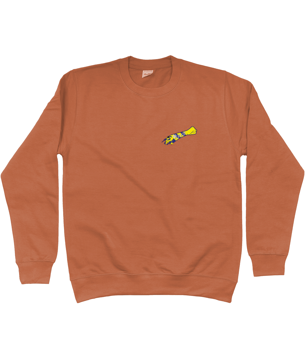 Leeds United Salute 1919 Jumper Men